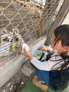 快適カーライフ♪