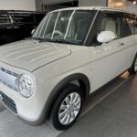 Lapinのカーコーティング施術事例
