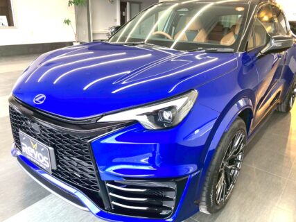 LBX  MORIZO RR様「Re216d」