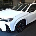 レクサスUXのカーコーティング施術事例